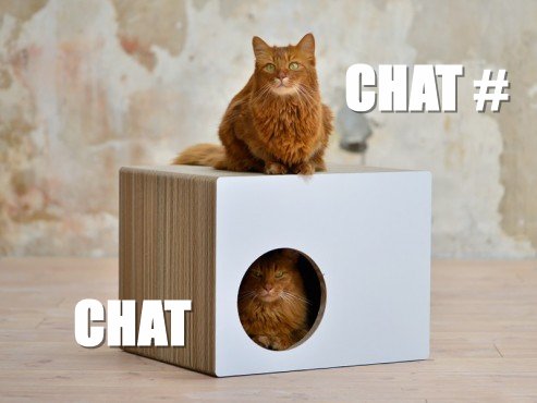 Chat dièse