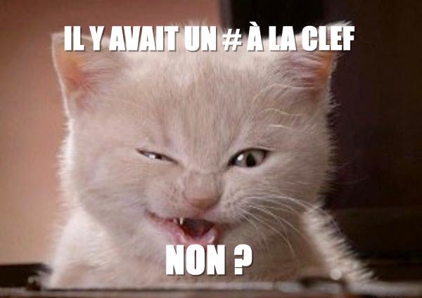 Chat dièse