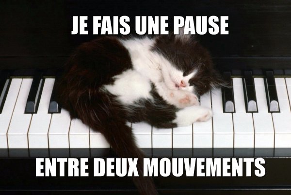 Chat, pause