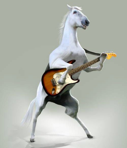 Cheval guitariste