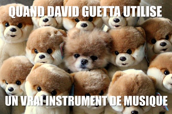 David Guetta