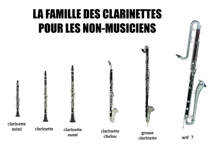 La famille des clarinettes I