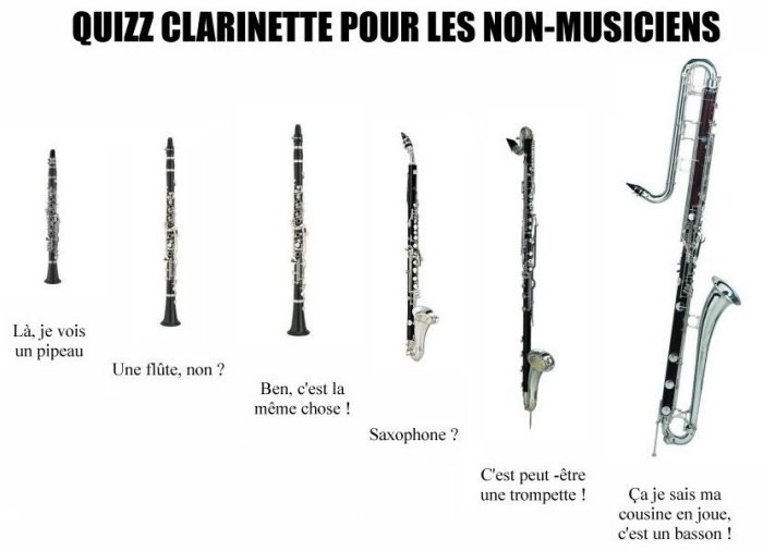 La famille des clarinettes II