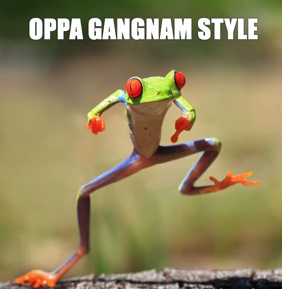 Grenouille. Oppa gangnam style