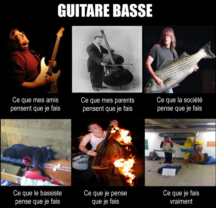 Basse, comment je me vois