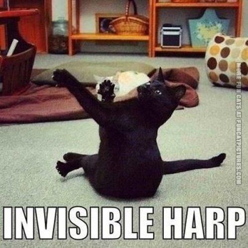 Harpe invisible