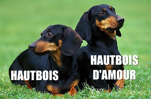 Hautbois et hautbois d'amour