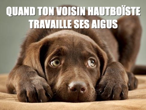 Quand ton voisin hautboïste travaille ses aigus