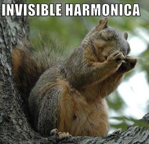 Harmonica invisible