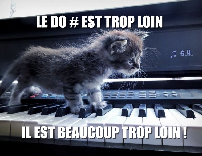 Chat, le do dièse est trop loin