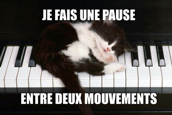 Chat qui fait une pause