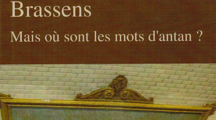 Mais où sont les mots d'antan ?