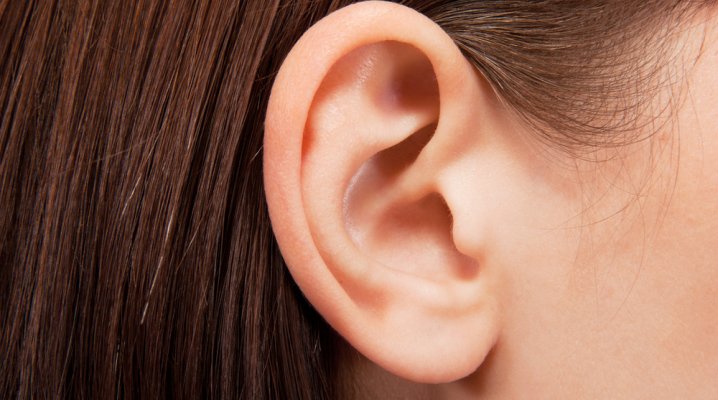 L'oreille absolue. Et ensuite ?