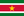 Suriname partitions