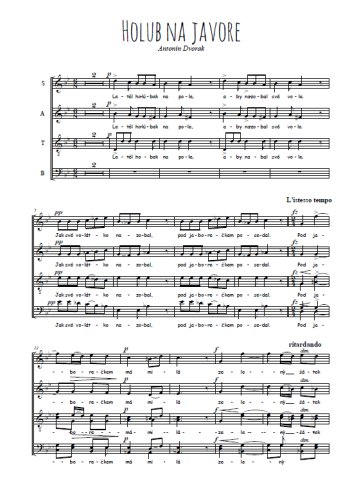Téléchargez l'arrangement de la partition de Holub na javore en PDF à quatre voix SATB