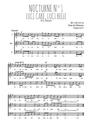 Téléchargez l'arrangement de la partition de Nocturne N°1, Luci care, luci belle en PDF à trois voix