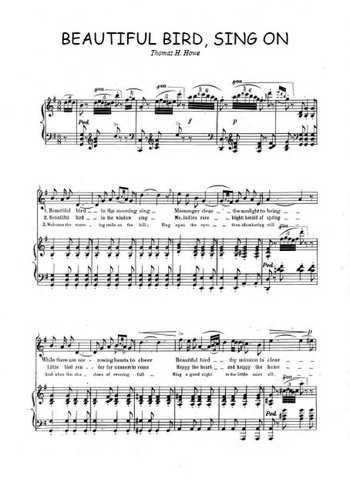 Beautiful Bird Sing on Partition gratuite