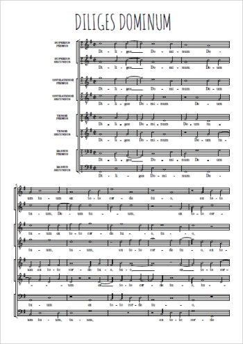 Diliges dominum