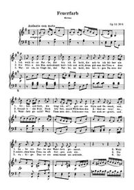 Téléchargez la partition de Feuerfarb en PDF pour Chant et piano