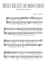 Téléchargez l'arrangement de la partition de Clemens-Non-Papa-Adieu-delices-de-mon-coeur en PDF à deux voix