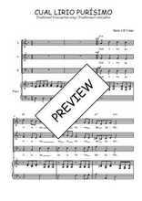 Téléchargez l'arrangement de la partition de Cual lirio purísimo en PDF pour trois voix mixtes et piano