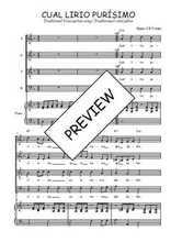 Téléchargez l'arrangement de la partition de Cual lirio purísimo en PDF pour 4 voix mixtes et piano