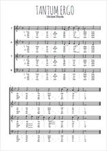 Michael Haydn - Tantum ergo sacramentum