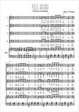 Téléchargez l'arrangement de la partition de Pili aoao en PDF pour 4 voix mixtes et piano