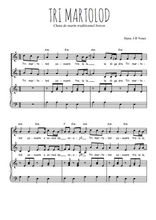 Téléchargez l'arrangement de la partition de Tri martolod en PDF pour deux voix égales et piano