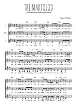 Téléchargez l'arrangement de la partition de chant-de-marin-tri-martolod en PDF pour trois voix de femmes